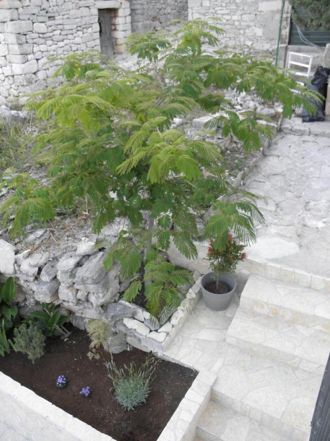 Apartmani Adam Primošten Exterior foto